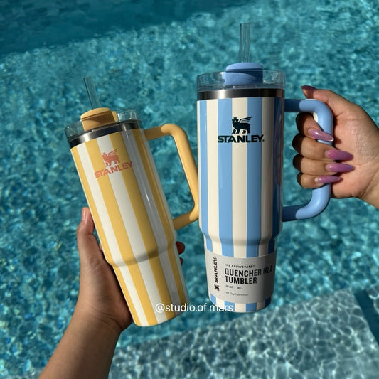 Stanley Trendy Tumblers